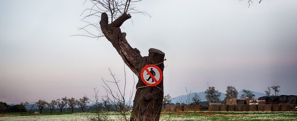 decretazos puertas blockchain 1