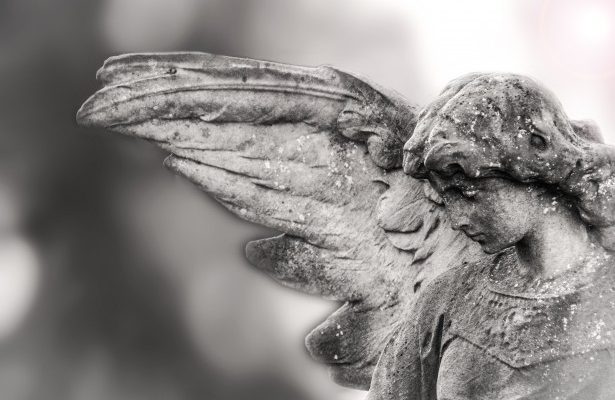 sexo angeles naturaleza criptodivisas 2